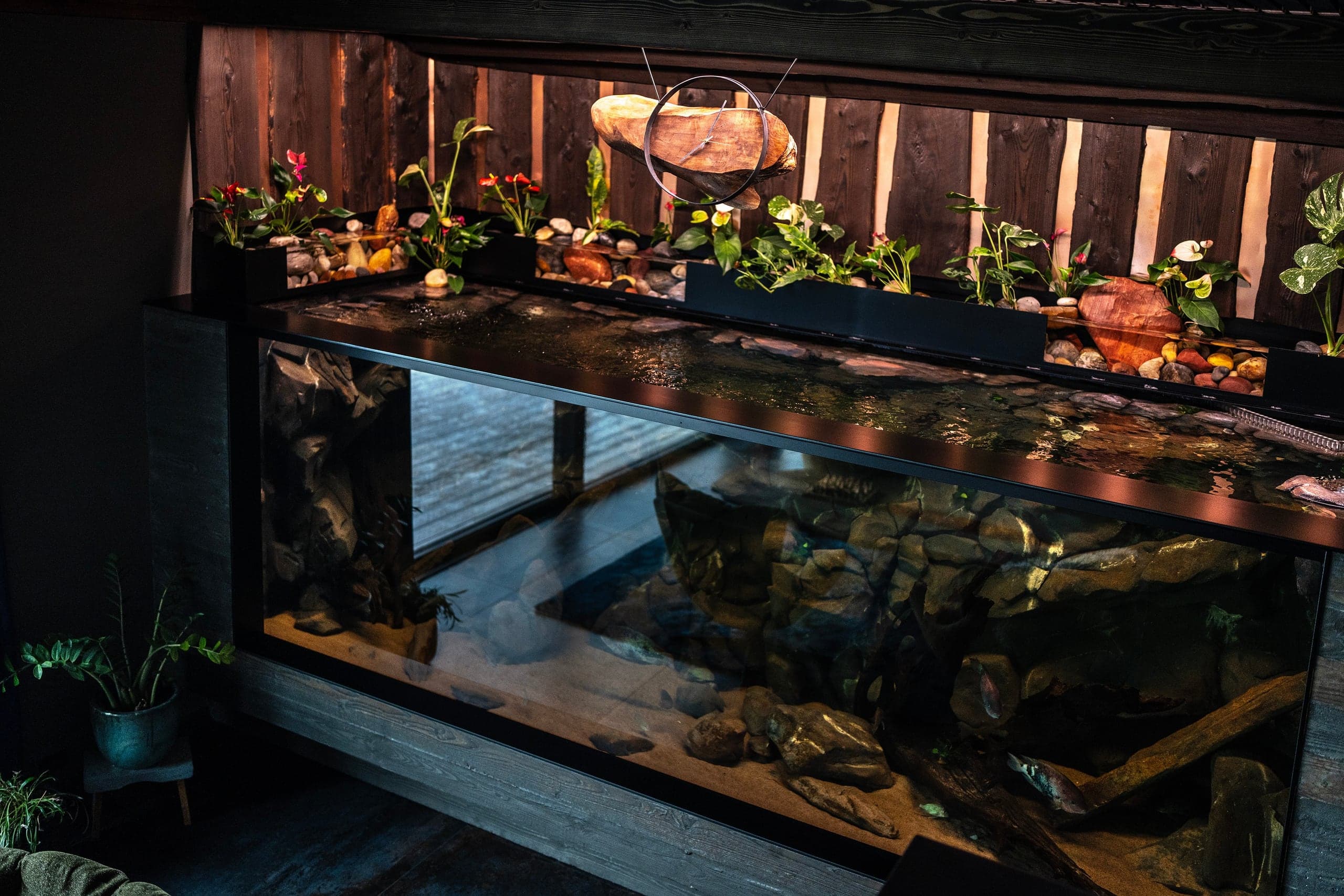 Akvariet om aftenen i The Core, Herning